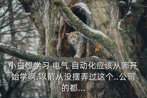 小白想學(xué)習(xí) 電氣 自動(dòng)化應(yīng)該從哪開始學(xué)啊,以前從沒擺弄過這個(gè)..公司的都...