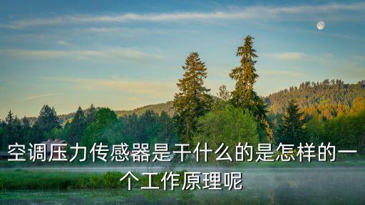 壓力傳感器圖片，進(jìn)氣壓力傳感器的五個安裝位置