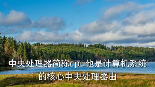 中央處理器簡稱cpu他是計算機系統(tǒng)的核心中央處理器由