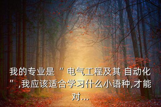我的專業(yè)是“ 電氣工程及其 自動(dòng)化”,我應(yīng)該適合學(xué)習(xí)什么小語種,才能對(duì)...