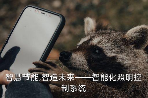 智慧節(jié)能,智造未來(lái)——智能化照明控制系統(tǒng)