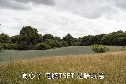 tset，鬧心了 電腦TSET 是啥玩意