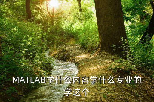 MATLAB學(xué)什么內(nèi)容學(xué)什么專業(yè)的學(xué)這個(gè)