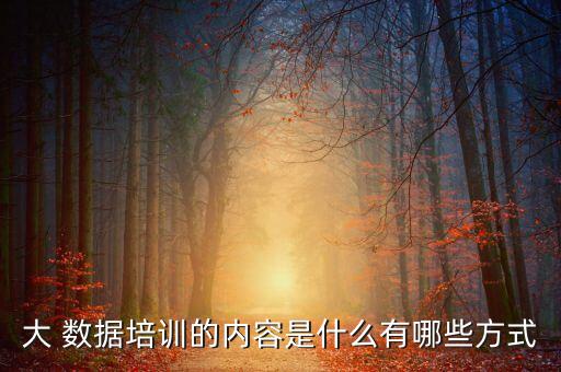 大 數(shù)據(jù)培訓(xùn)的內(nèi)容是什么有哪些方式