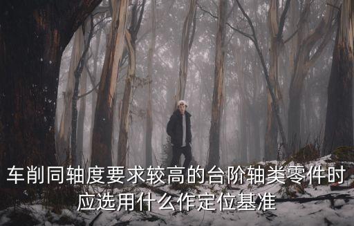 車削同軸度要求較高的臺階軸類零件時(shí)應(yīng)選用什么作定位基準(zhǔn)