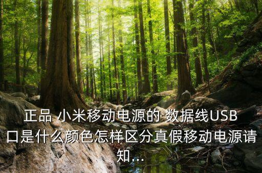 正品 小米移動(dòng)電源的 數(shù)據(jù)線USB口是什么顏色怎樣區(qū)分真假移動(dòng)電源請(qǐng)知...