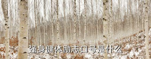 口號(hào)意思包括大數(shù)據(jù),強(qiáng)身健體勵(lì)志口號(hào)是什么?