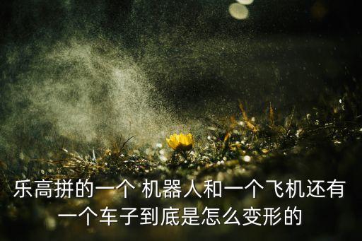 樂(lè)高拼的一個(gè) 機(jī)器人和一個(gè)飛機(jī)還有一個(gè)車子到底是怎么變形的
