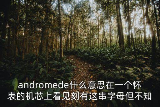 andromede什么意思在一個懷表的機芯上看見刻有這串字母但不知