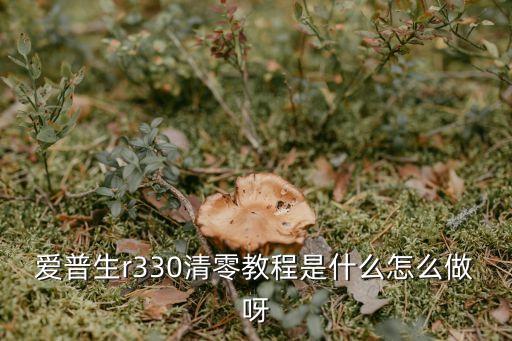 愛普生r330清零教程是什么怎么做呀
