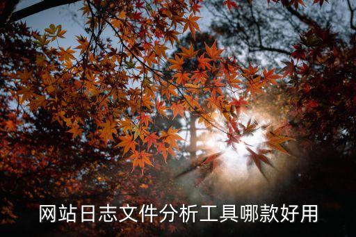 日志分析軟件，網(wǎng)站日志分析工具哪一個(gè)比較好用請(qǐng)高手提供一個(gè)