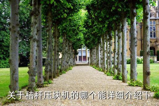 關于秸稈壓塊機的哪個能詳細介紹下
