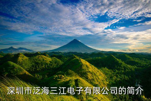 深圳市泛海三江電子有限公司的簡介