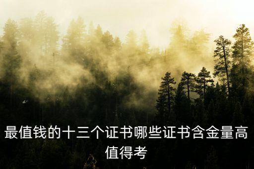 自動(dòng)化專業(yè)什么證書(shū)比較值錢呢,什么證書(shū)比較值錢?