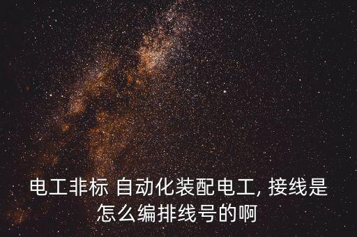 電工非標(biāo) 自動(dòng)化裝配電工, 接線是怎么編排線號(hào)的啊