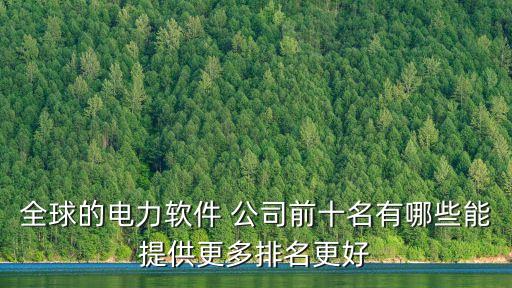 全球的電力軟件 公司前十名有哪些能提供更多排名更好