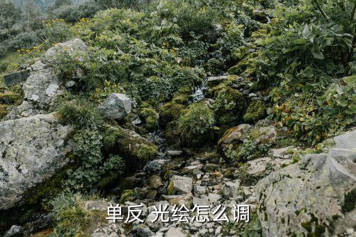 光繪攝影數(shù)據(jù),為什么光繪攝影拍不到人