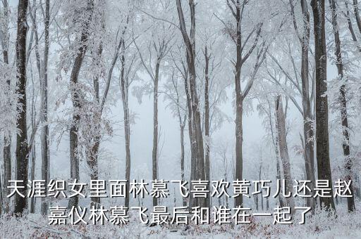天涯織女里面林慕飛喜歡黃巧兒還是趙嘉儀林慕飛最后和誰在一起了