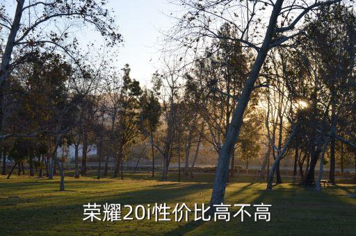 榮耀20i性價比高不高