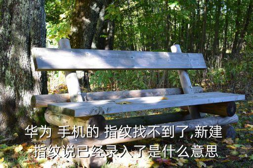 華為 手機(jī)的 指紋找不到了,新建 指紋說已經(jīng)錄入了是什么意思