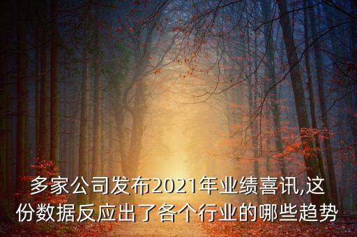 多家公司發(fā)布2021年業(yè)績喜訊,這份數(shù)據(jù)反應(yīng)出了各個(gè)行業(yè)的哪些趨勢