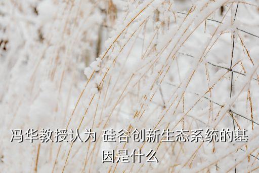 馮華教授認(rèn)為 硅谷創(chuàng)新生態(tài)系統(tǒng)的基因是什么