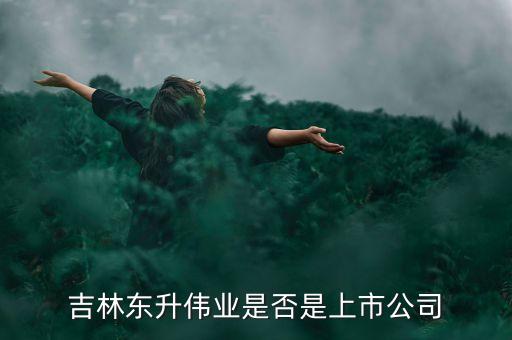吉林東升偉業(yè)是否是上市公司