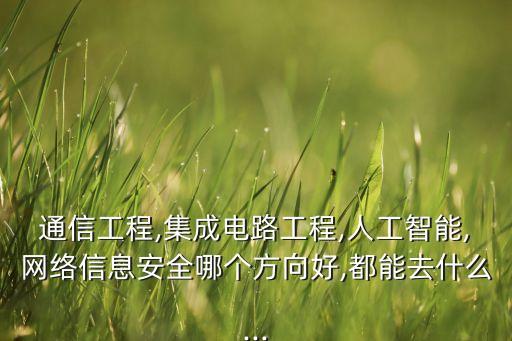 通信工程,集成電路工程,人工智能,網(wǎng)絡(luò)信息安全哪個方向好,都能去什么...