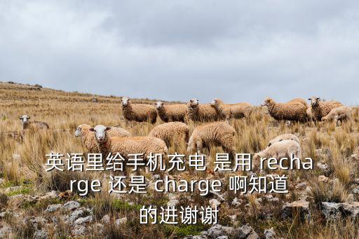 充電器英文，電瓶車充電器LN各代表什么意思