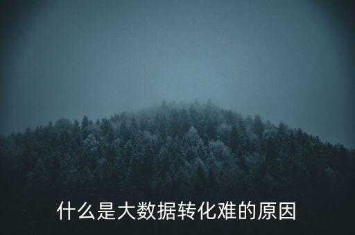 什么是大數(shù)據(jù)轉(zhuǎn)化難的原因