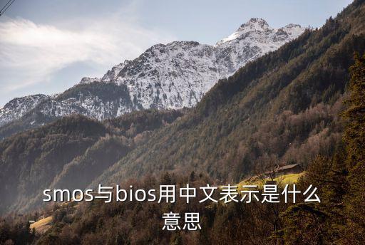 smos，smos與bios用中文表示是什么意思