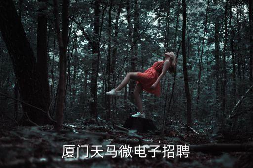 廈門天馬微電子招聘