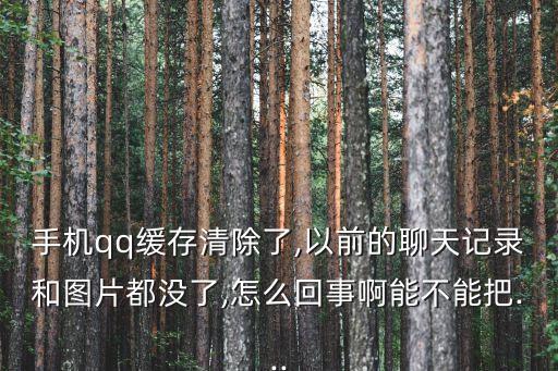手機(jī)qq緩存清除了,以前的聊天記錄和圖片都沒(méi)了,怎么回事啊能不能把...