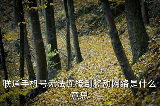 聯(lián)通手機號無法連接到移動網(wǎng)絡是什么意思