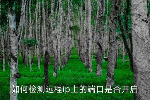 如何檢測遠程ip上的端口是否開啟