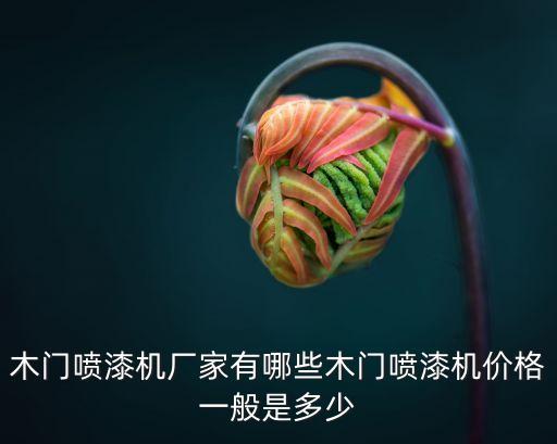 木門噴漆機廠家有哪些木門噴漆機價格一般是多少