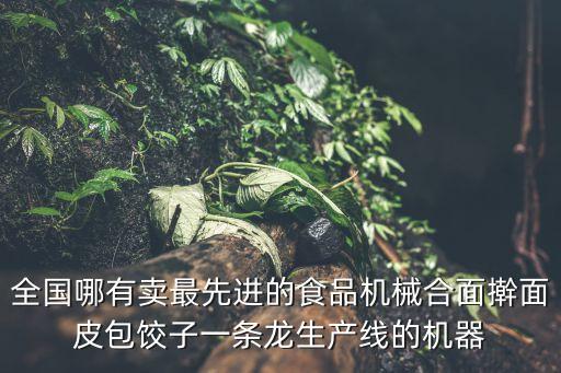 全國哪有賣最先進(jìn)的食品機(jī)械合面搟面皮包餃子一條龍生產(chǎn)線的機(jī)器