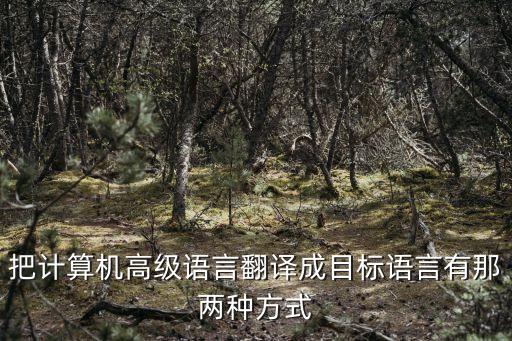 把計(jì)算機(jī)高級(jí)語(yǔ)言翻譯成目標(biāo)語(yǔ)言有那兩種方式