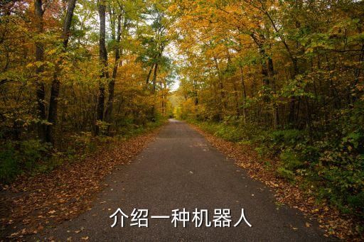 介紹一種機(jī)器人