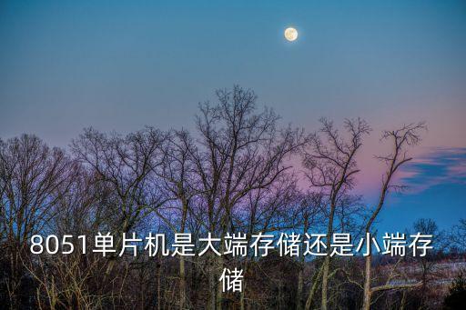 大端存儲(chǔ)和小端存儲(chǔ)，8051單片機(jī)是大端存儲(chǔ)還是小端存儲(chǔ)