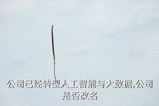大數(shù)據(jù)分析平臺取名,數(shù)據(jù)分析小組取名