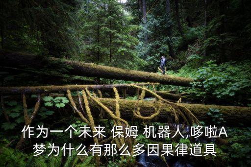 保姆機(jī)器人介紹,全能型家庭保姆機(jī)器人價(jià)格