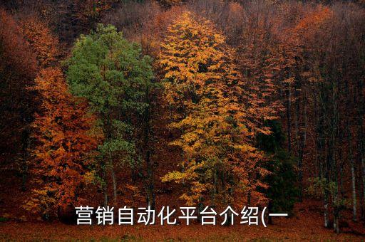 營銷自動化平臺介紹(一