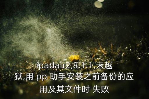 ipadair2,8.1.1,未越獄,用 pp 助手安裝之前備份的應(yīng)用及其文件時(shí) 失敗