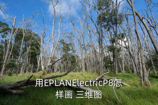 用EPLANElectricP8怎樣畫 三維圖