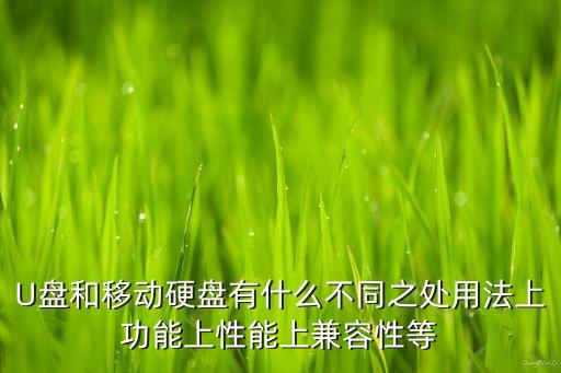 U盤和移動硬盤有什么不同之處用法上功能上性能上兼容性等