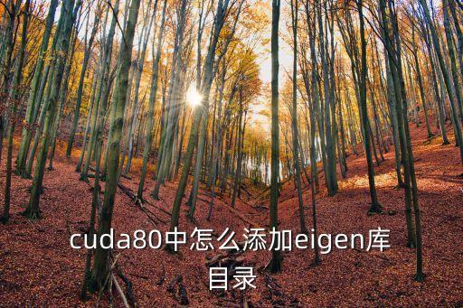 cuda80中怎么添加eigen庫目錄
