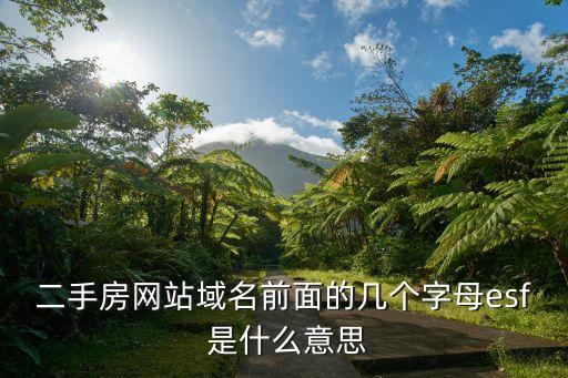 esf，ESF代表了什么