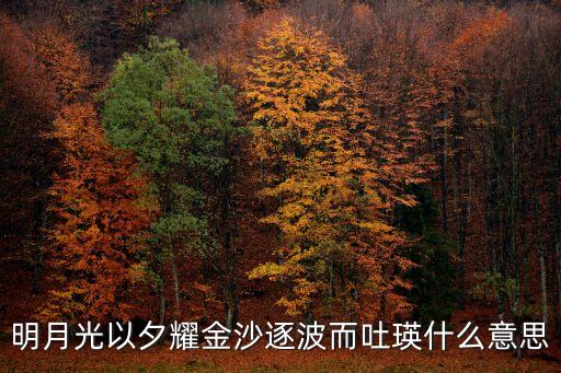 明月光以夕耀金沙逐波而吐瑛什么意思