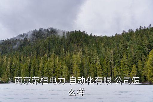  南京榮桓電力 自動(dòng)化有限 公司怎么樣